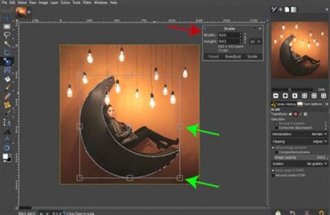 Image result for GIMP Scale Pattern