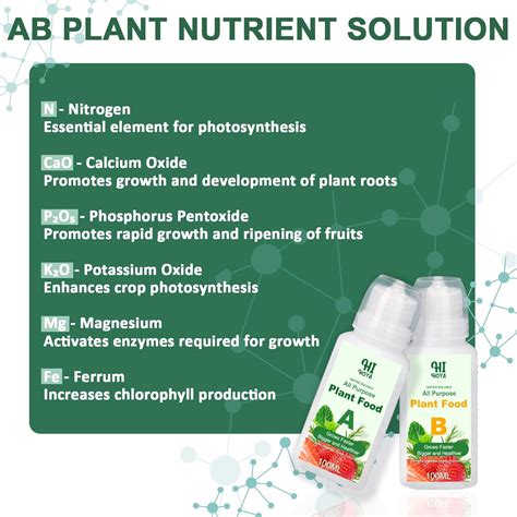 HiHOYA Gourmet Herb & Salad Seed Pod Kit, 8 Pod (Include India | Ubuy