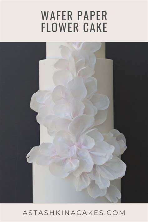 Paper Cake Tutorial 的图像结果