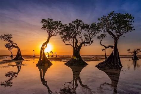 PANTAI DENGAN VIEW SUNSET TERINDAH DI INDONESIA - Pusat Marine