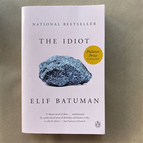 The idiot by Elif Batuman, Hobbies & Toys, Books & Magazines, Fiction ...