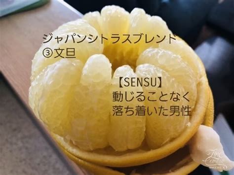 ジャパンシトラス「文旦」ブレンド "SENSU" | caricianeo公式オンラインショップ