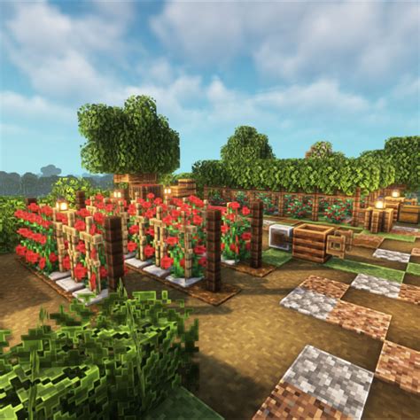 Minecraft Grape Vineyard and Tomato Trees Design