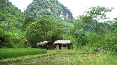 Image result for Primitive Farm