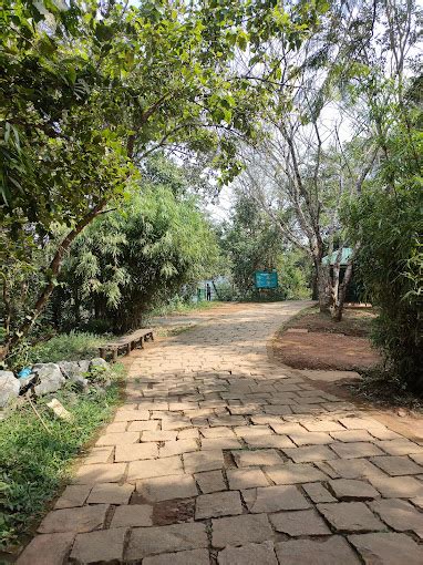 Soochipara Falls Wayanad - Hi Wayanad Tourist Places