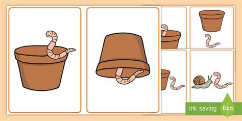 Where Is the Worm? Positional Language Picture Cards