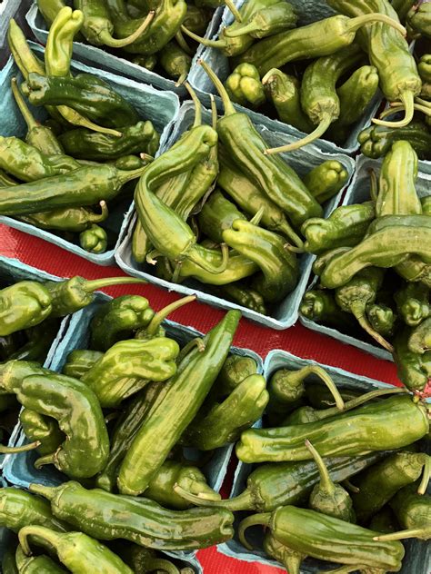 Longmont Farmers Market