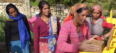 Compressed Earth Block 的图像结果