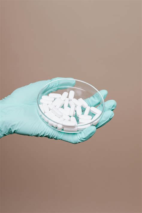 El cambio climático y las enfermedades infecciosas | Meer