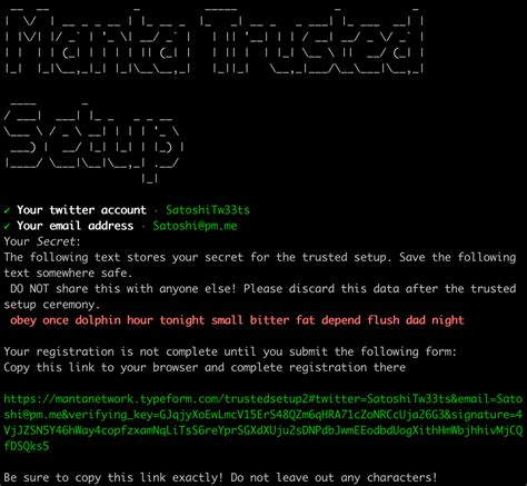 Manta Trusted Setup на Windows — Teletype