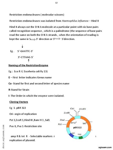 Botany Vidio 12 的图像结果