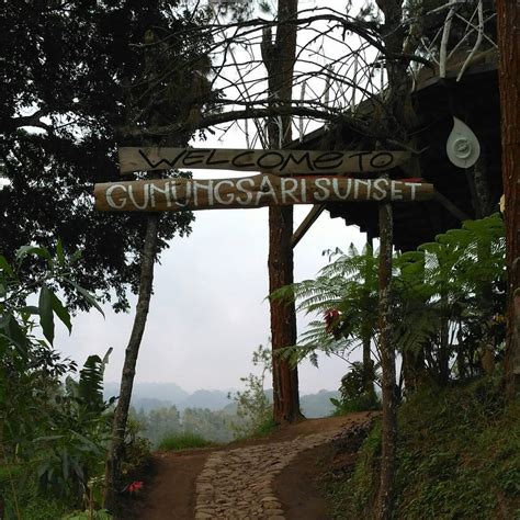 Gunung Sari Telomoyo: Saksi Bisu Keindahan Alam yang Memukau