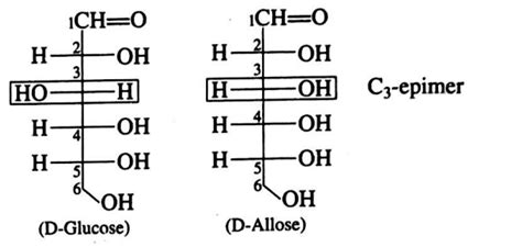 C 3-epimer of D-Glucose is: - Tardigrade