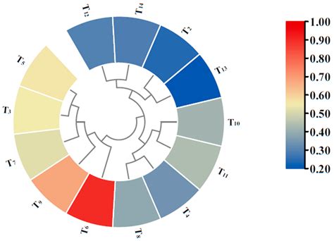 Influence of Different Nitrogen, Phosphorus, and Potassium Fertilizer Ratios on the Agronomic ...