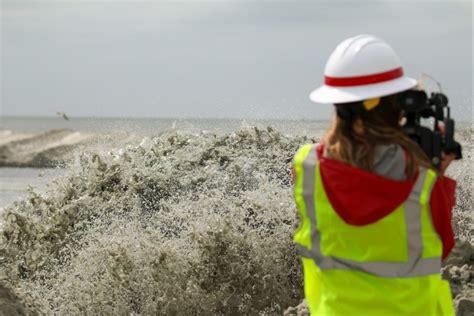 Renourishment of Bird Key Has Shorebirds Rejoicing | Article | The ...