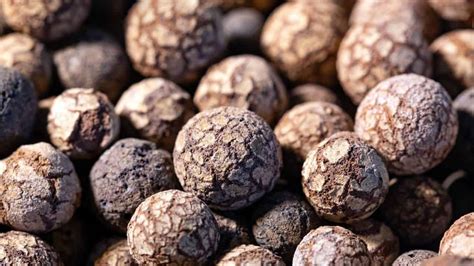 How to Use Leca 的图像结果