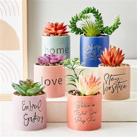 Buy Garnet Garden Artificial Succulent in Ceramic Planter from Home ...