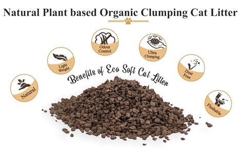 Buy EcoSoft Organic Cat Litter- 6 Litre | Plant Based | Smart Quick ...