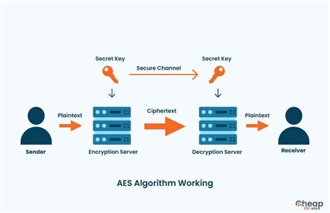 AES Algorithm Input Array 的图像结果