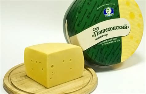 Пошехонский сыр рецепт приготовления в домашних условиях - CHEASY.RU