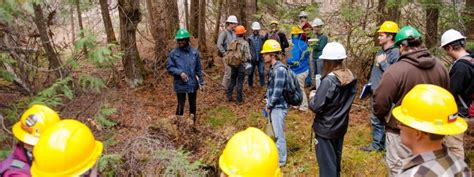 Management of Natural Resources 的图像结果