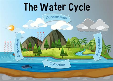 Water Cycle Model 的图像结果