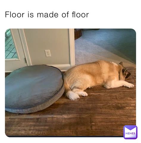 Floor is made of floor | @skittle_chann | Memes
