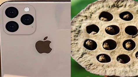 Here’s why Apple’s new iPhone 11 is giving people Trypophobia