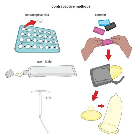 Image result for How Birth Control Works