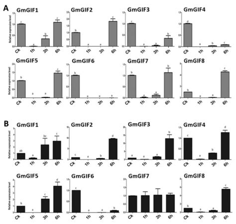 Comprehensive Genomic Survey, Evolution, and Expression Analysis of GIF ...