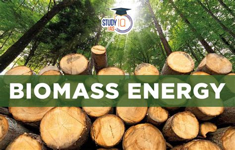 Biomass Energy, Sources, Advantages, Disadvantages, Challenges