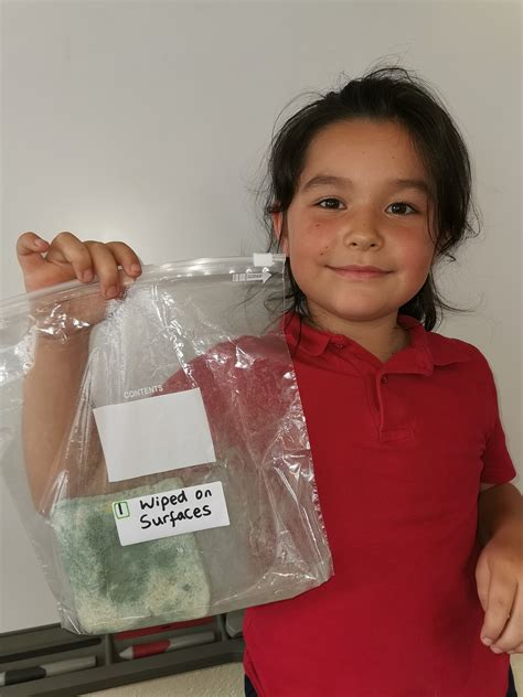 Image result for Falling Bread Experiment