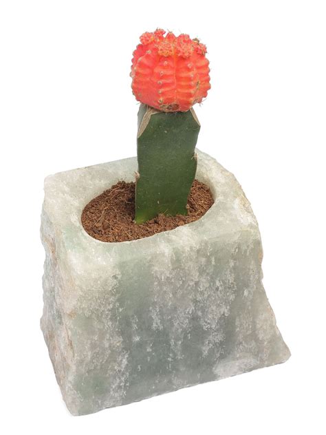 Pots & Planters | Semi Precious Planter