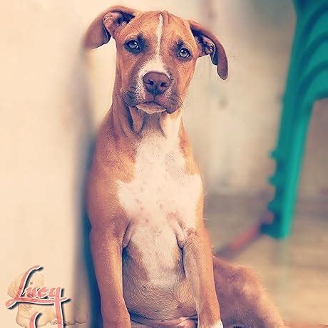 Sony INZONE H3, MDR-G300 Wired Gaming Headset, Over-Ear Headphones with ...