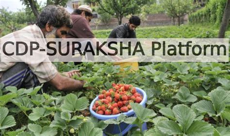 Strengthening India's Horticulture Sector: The Launch of CDP-SURAKSHA ...