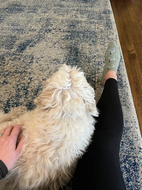 Rugs USA Review: Affordable Rugs I've Had for Years | Feathers and Stripes