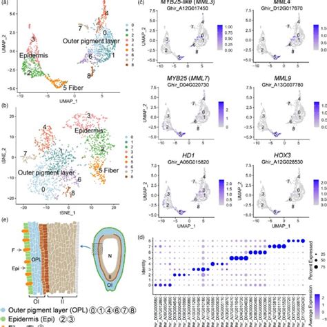 Image result for Cell Annotation