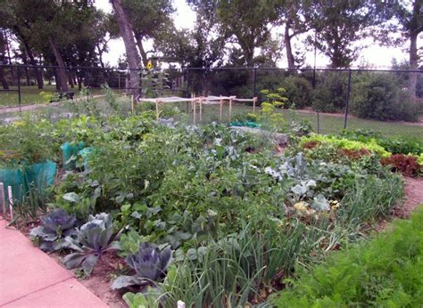 Beginner Vegetable Gardening, Cheyenne Botanic Gardens, 18 March 2023 ...