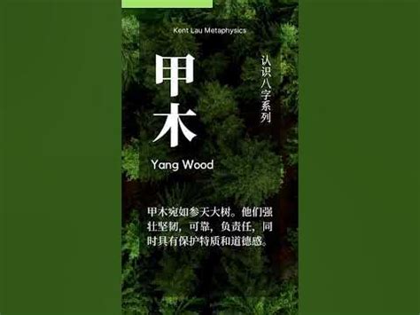 10秒认识八字日主 - 甲木 Yang Wood - YouTube