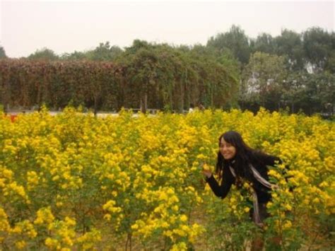 THE 30 BEST Places to Visit in Puyang (2025) - Must-See Attractions