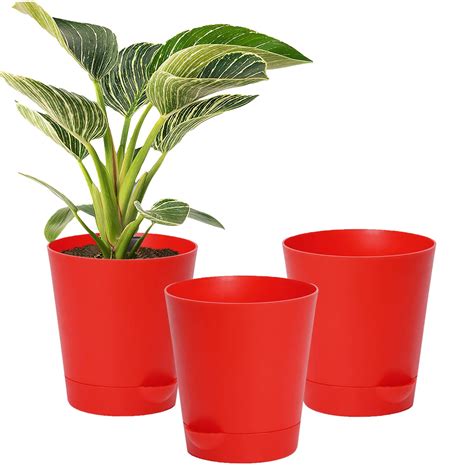 Kuber Industries Plastic Titan Pot|Garden Container for Plants ...