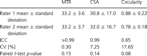 Inter-Rater Reliability Graph 的图像结果
