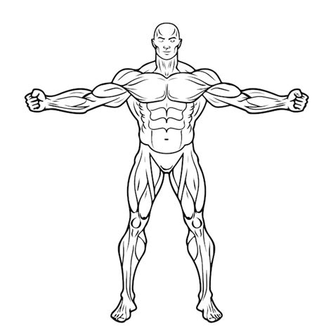 Image result for Cartoon Muscles Tutorial