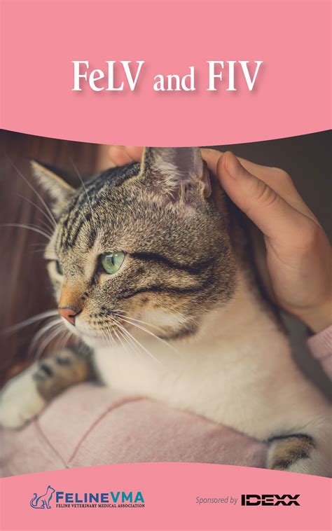 Feline Immunodeficiency Virus (FIV) - Cat Friendly Homes