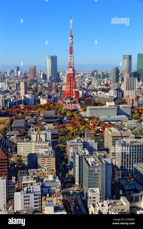 Japan City 的图像结果