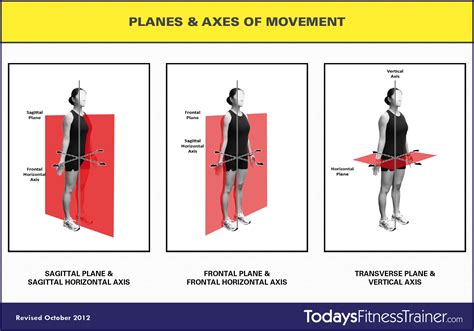 Understanding Exercise - Planes, Axes and Movement | Sagittal plane ...