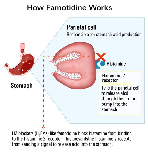 What you should know about Famotidine