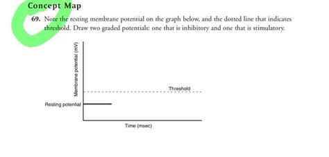 Image result for Threshold vs Resting Membrane Potential