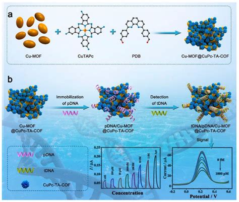 Electrochemical (Bio)Sensors Based on Covalent Organic Frameworks (COFs)