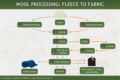 Image result for Processing of Wool Class 7
